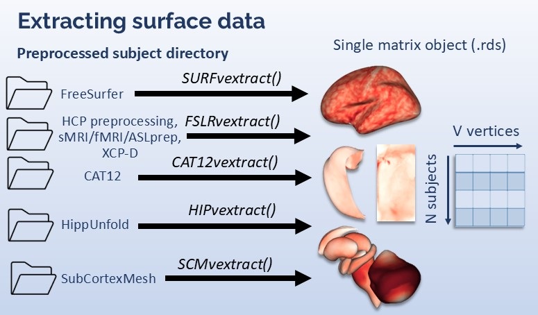 Surface extraction methods workflow