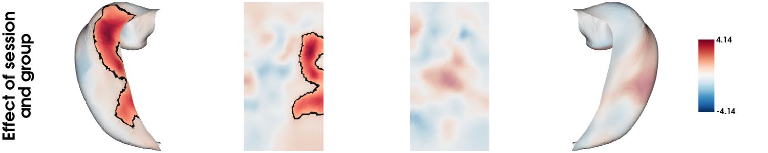 Overlaid hippocampal plots