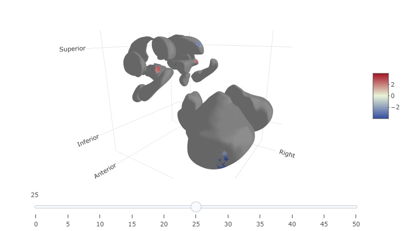 Significant clusters after RFT correction across all ASeg  subcortices, 3D plot (screenshot)